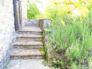 IMG_20250606_185338
