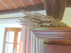 IMG_20250606_185740-min